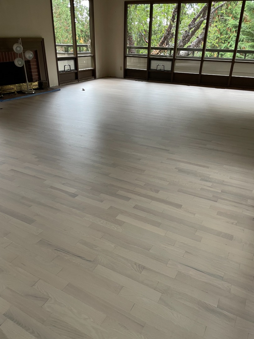 Photo Oct 21 2021, 3 01 56 PM.jpg