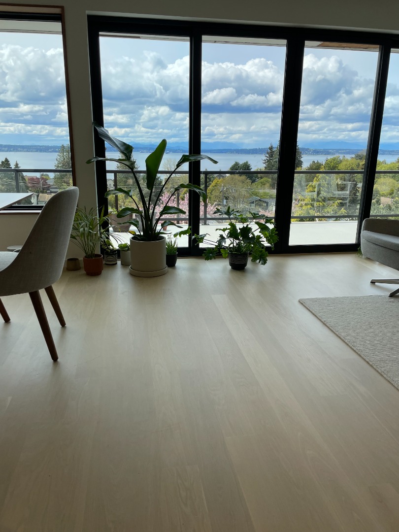 Photo Apr 29 2022, 1 36 51 PM.jpg