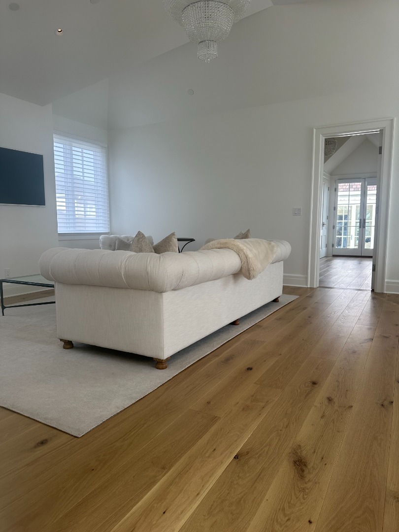 Photo Feb 19 2025, 2 57 07 PM.jpg