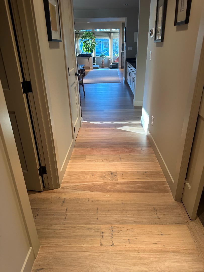 Photo Jan 21 2025, 2 26 25 PM.jpg